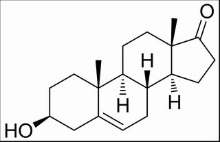 脱氢表雄甾酮(DHEA) CAS：53-43-0 中药对照品标准品