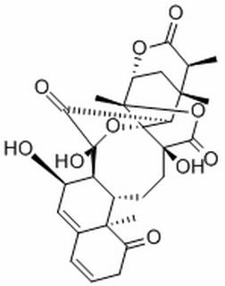 酸浆苦味素L CAS：113146-74-0 中药对照品标准品