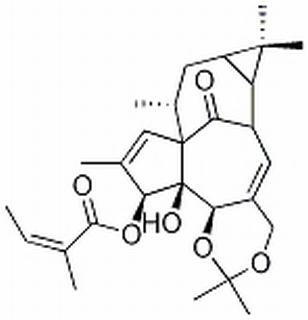 巨大戟醇-5,20-缩丙酮-3-当归酸酯 CAS： 87980-68-5 中药对照品