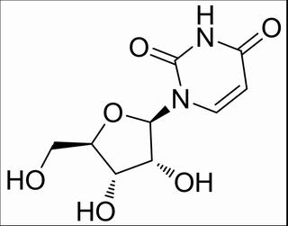 尿嘧啶核苷 CAS：58-96-8 中药对照品标准品