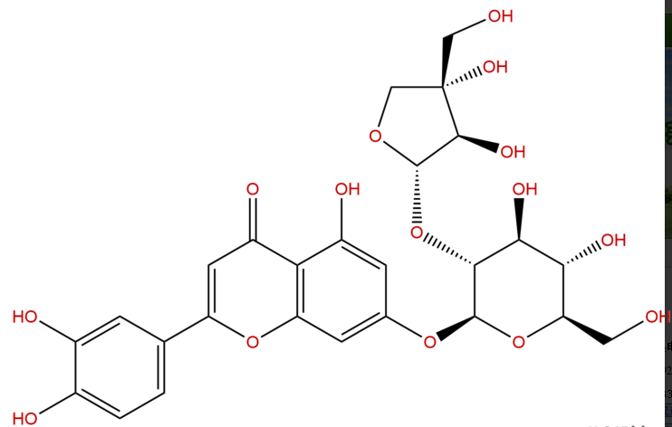 木犀草素 7-芹糖(1-2)-葡萄糖苷 CAS：506410-53-3 中药对照品