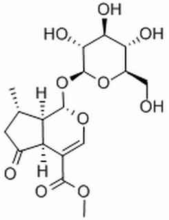 马鞭草苷 CAS：548-37-8 中药对照品标准品