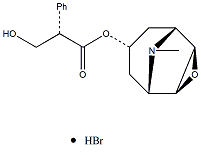 氢溴酸东莨菪碱 CAS：114-49-8 中药对照品 标准品