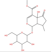 戟叶马鞭草苷 CAS:50816-24-5 中药对照品标准品