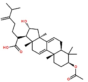 去氢茯苓酸 CAS：77012-31-8 中药对照品标准品