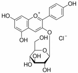 天竺葵素-3-氯化葡萄糖苷 CAS：18466-51-8 中药对照品标准品	