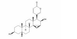 去乙酰华蟾毒精 (Desacetylcinobufagin) CAS:4026-95-3   HPLC≥98%