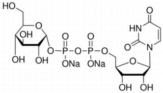 尿苷二磷酸葡萄糖 CAS:28053-08-9 中药对照品标准品