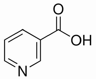 维生素B3  CAS:59-67-6