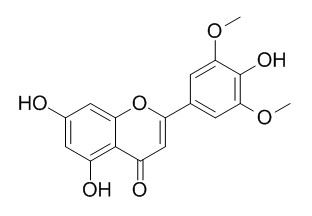 苜蓿素 CAS：520-32-1 中药对照品标准品