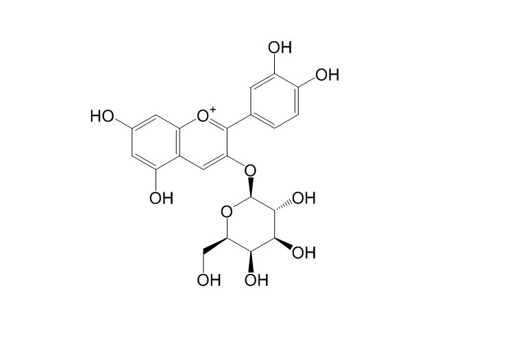 矢车菊素-3-O-半乳糖苷 CAS:142506-26-1中药对照品标准品