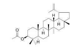 乙酰羽扇豆醇酯 CAS号：1617-68-1 中药对照品标准品