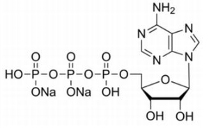 5-腺苷三磷酸二钠盐 CAS号：987-65-5  中药对照品标准品