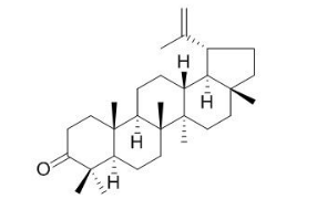 羽扇烯酮 CAS号：1617-70-5 中药对照品