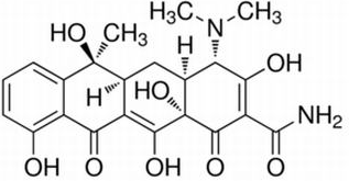 四环素 CAS号：60-54-8 中药标准品对照品