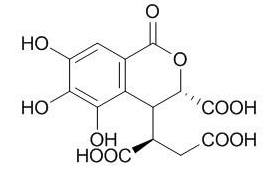 诃子次酸 CAS号：23725-05-5 中药对照品标准品