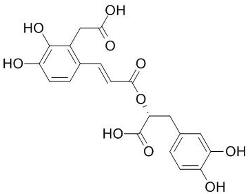 丹酚酸D CAS号：142998-47-8 中药对照品标准品