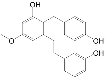 Isoarundinin II  CAS号： 151538-56-6 中药对照品标准品