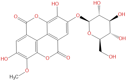 Stachyanthuside A CAS号：864779-30-6 中药对照品标准品