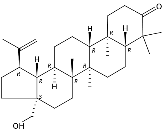 Betulone  CAS号：7020-34-0 中药对照品标准品