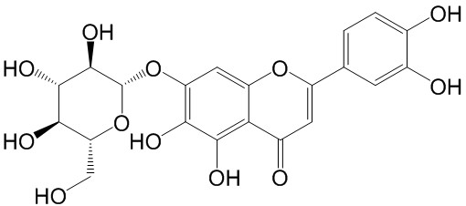 6-羟基木犀草苷 CAS：54300-65-1中药对照品标准品