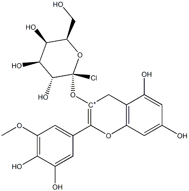 矮牵牛素-3-O-半乳糖苷 CAS：28500-02-9 中药对照品标准品