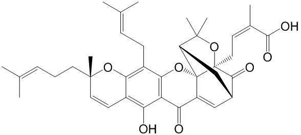 表藤黄酸 | CAS No.887606-04-4