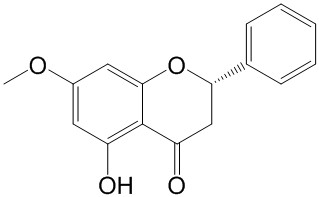 球松素; 乔松酮 | CAS No.480-37-5