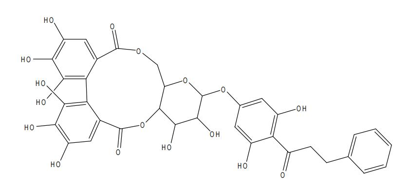 赶黄草苷B | CAS No.271579-12-5