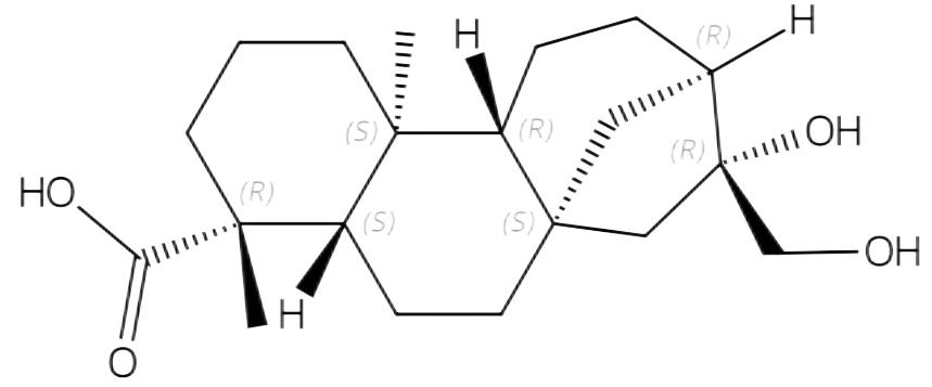 ent-16beta,17-二羟基-19-异贝壳杉烷酸 | CAS No.3301-61-9