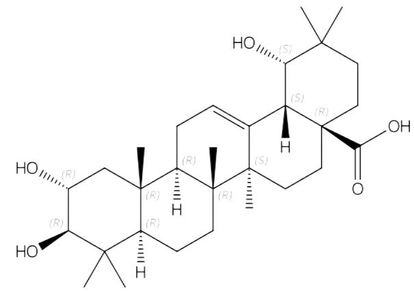 阿江榄仁酸 | CAS No.31298-06-3