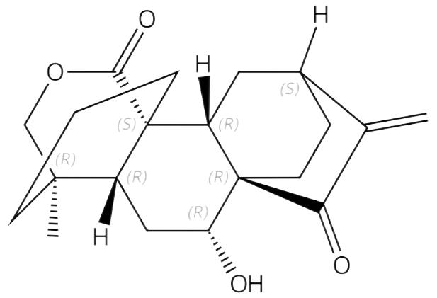 15-氧代绣线菊内酯 | CAS No.1053172-87-4