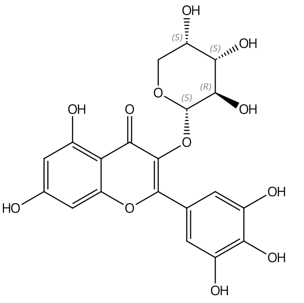 杨梅素-3-α-L-吡喃阿拉伯糖甙 | CAS No.132679-85-7