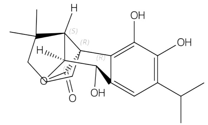 表迷迭香酚 | CAS No.93380-12-2