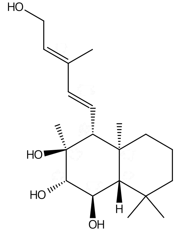 甜叶菊素E | CAS No.114343-74-7