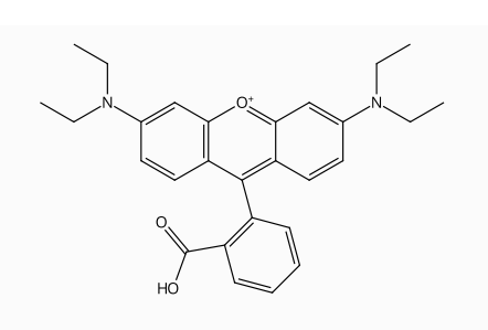 罗丹明B | CAS No.81-88-9