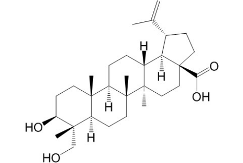 23-羟基白桦酸 丨CAS No.85999-40-2