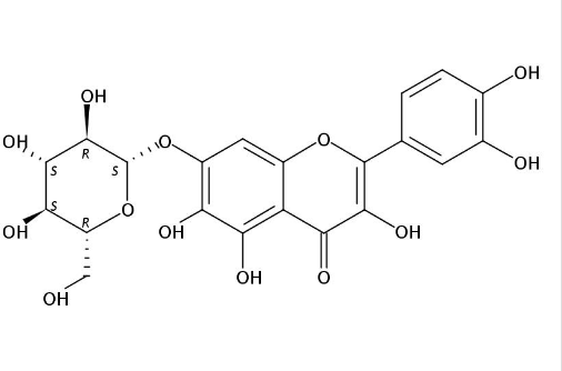 槲皮万寿菊苷 丨CAS No.548-75-4