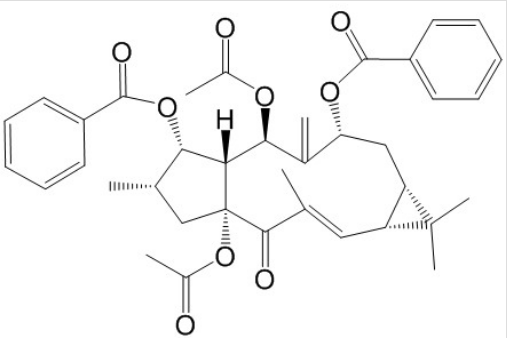 千金子素L2 丨CAS No.218916-51-9