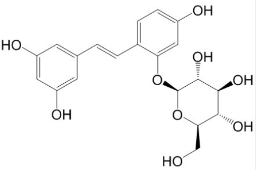 氧化白藜芦醇-2-O-β-D-吡喃葡萄糖苷 丨CAS No.392274-22-5