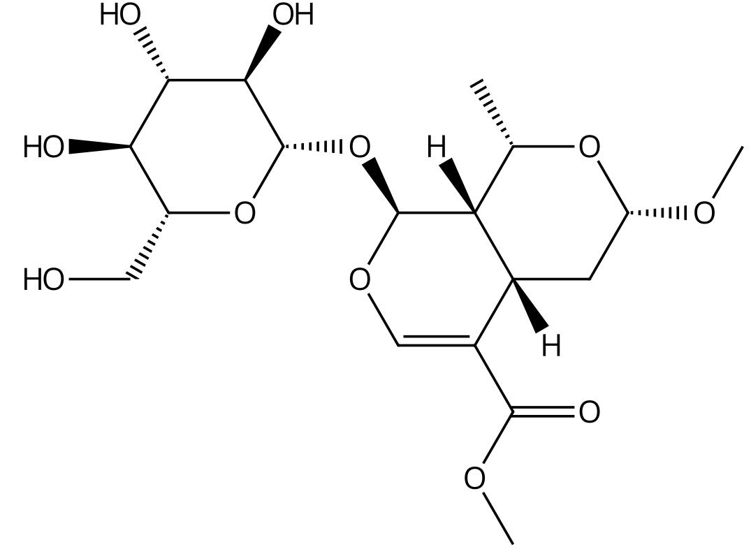 7α-O-甲基莫诺苷 丨CAS No.119943-45-2