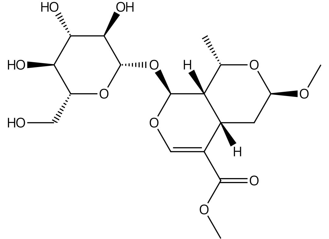 7β-O-甲基莫诺苷丨CAS No.119943-46-3