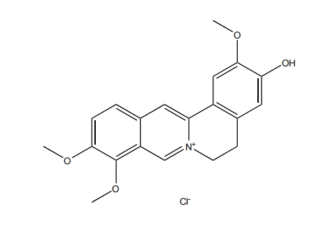 盐酸药根碱 | CAS No.6681-15-8