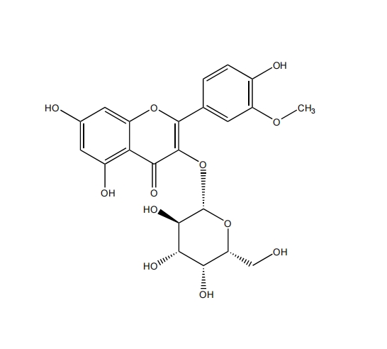 异鼠李素-3-O-半乳糖苷 CAS：6743-92-6中药对照品标准品