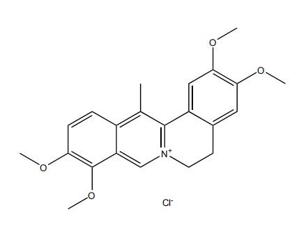 盐酸脱氢紫堇碱 | CAS No.10605-03-5