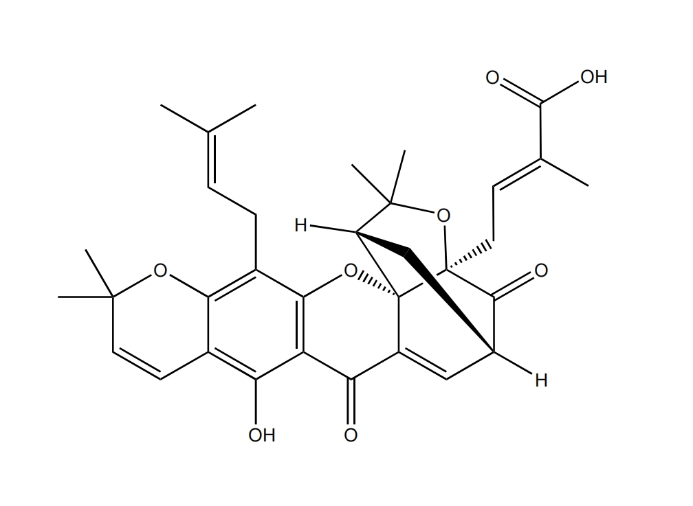 异桑藤黄酸 | CAS No.5262-69-1