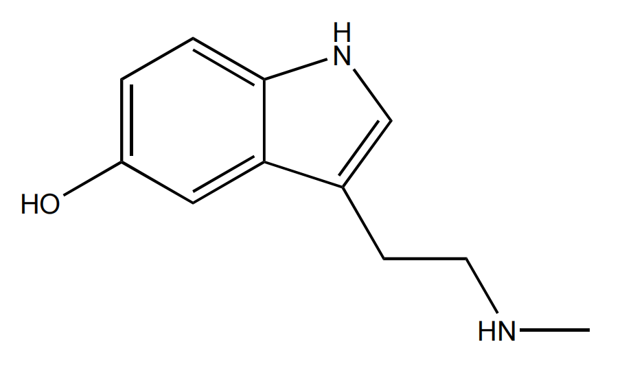 N-甲基-5-羟色胺 | CAS No.1134-01-6