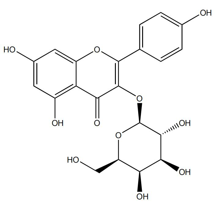 三叶豆苷 | CAS No.23627-87-4