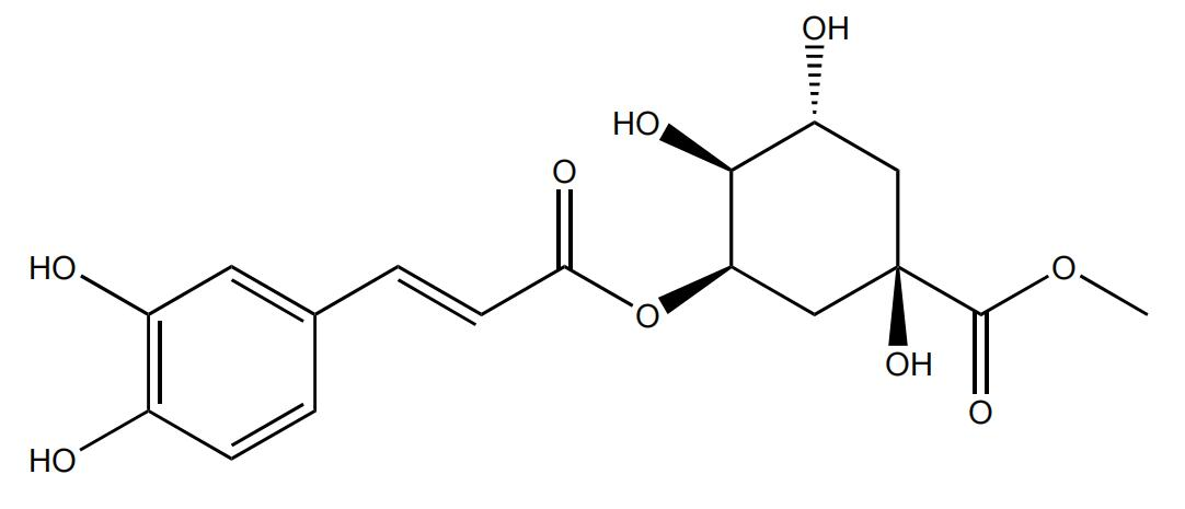 新绿原酸甲酯 | CAS No.123410-65-1