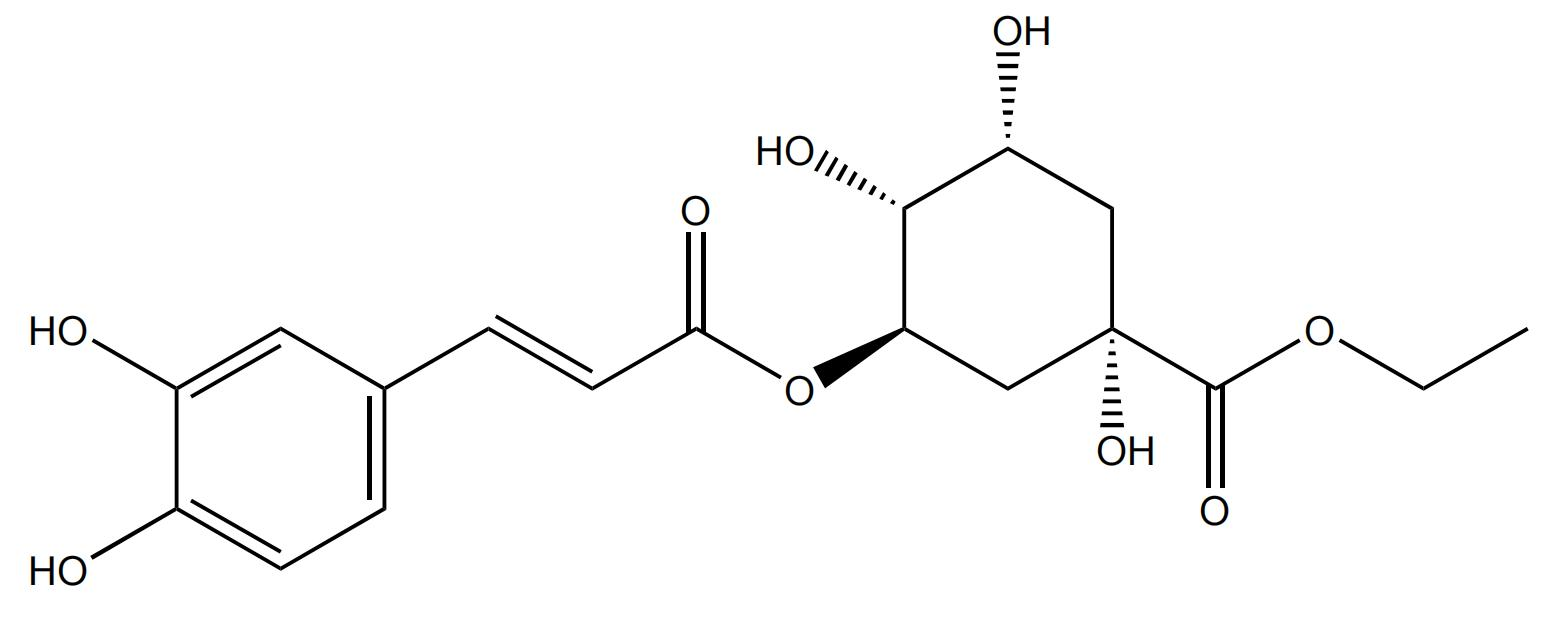 绿原酸乙酯 | CAS No.425408-42-0